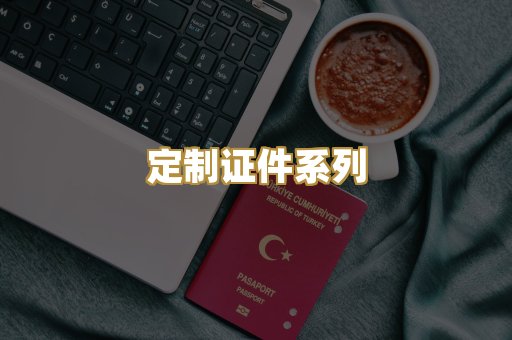 定制证件系列